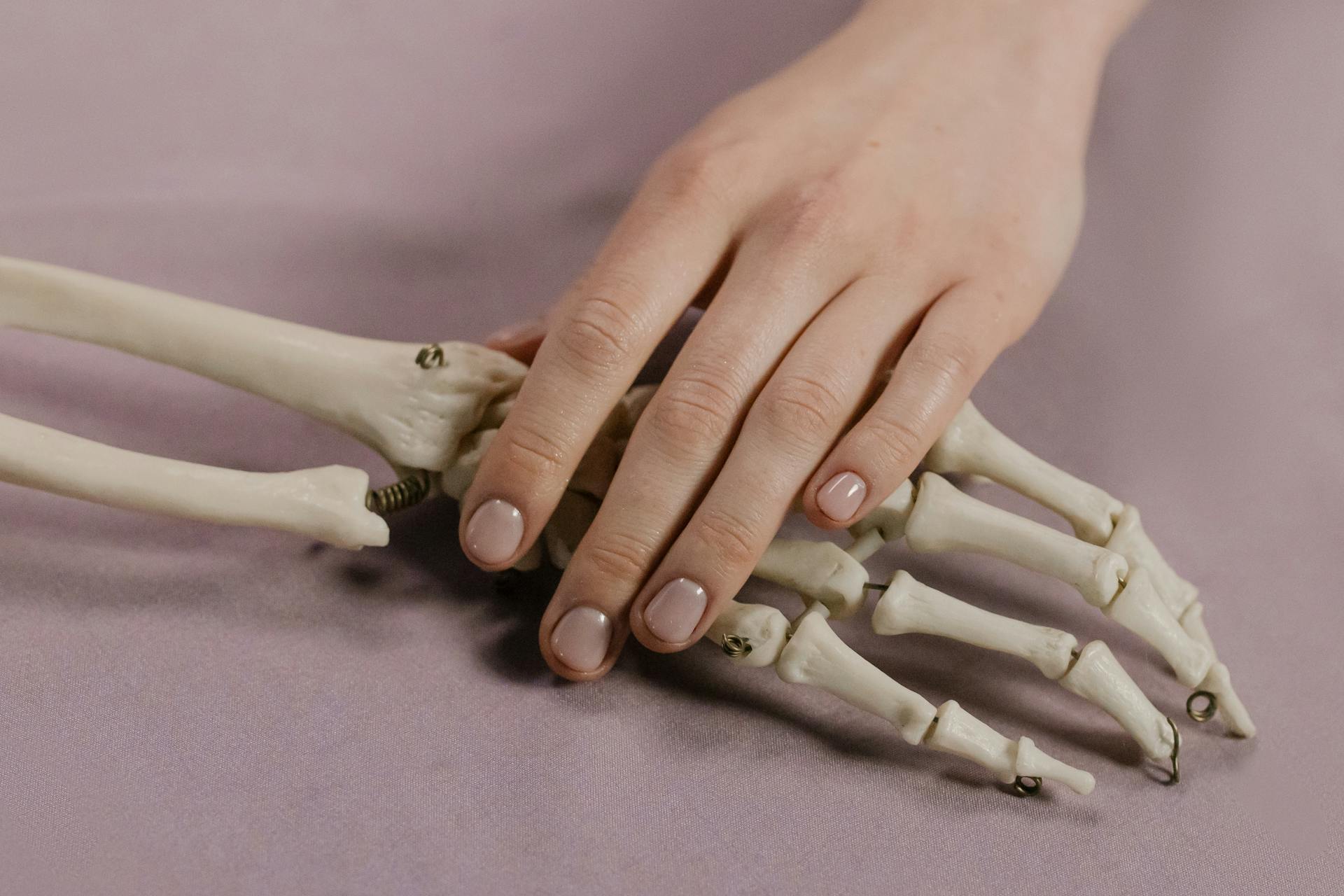 ויטמין K2: הוויטמין שמכוון את הסידן לעצם ומונע ממנו להצטבר בעורקים